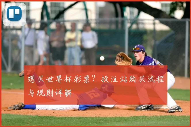 想买世界杯彩票？投注站购买流程与规则详解