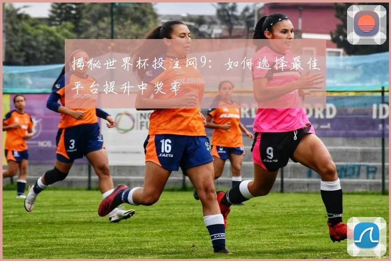揭秘世界杯投注网9：如何选择最佳平台提升中奖率
