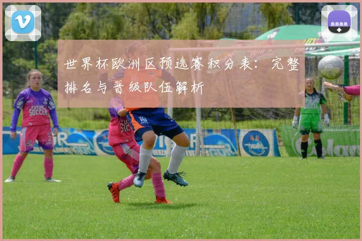 世界杯欧洲区预选赛积分表：完整排名与晋级队伍解析