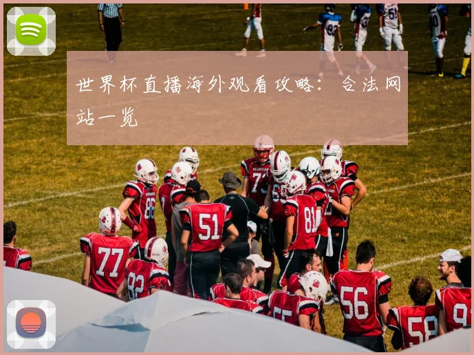 世界杯直播海外观看攻略：合法网站一览