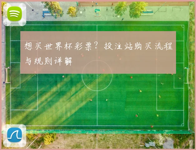 想买世界杯彩票?投注站购买流程与规则详解