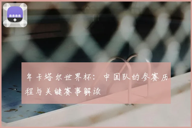 年卡塔尔世界杯：中国队的参赛历程与关键赛事解读
