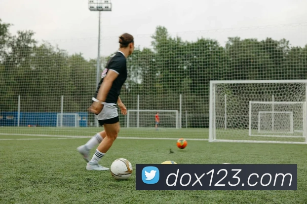 云开app官网入口网页版服务体系